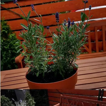 Apartman Idill 2 Tiszafüred